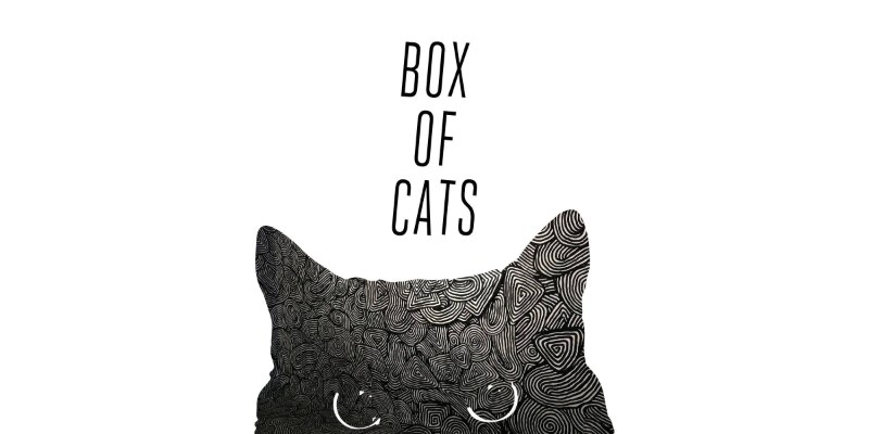 Boxofcats